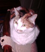 spaz 