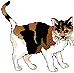 spaz